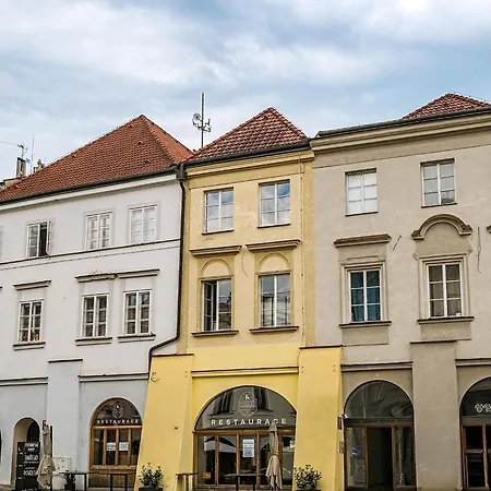 게스트하우스 Luxury Pivovarske Hradec Králové