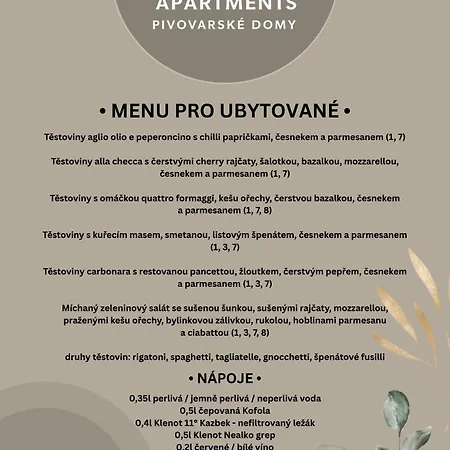 게스트하우스 Luxury Pivovarske 3*